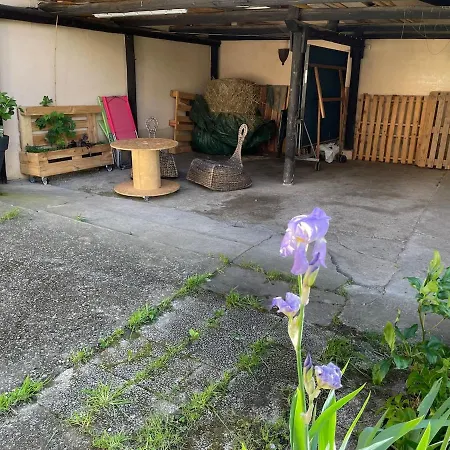 Maison Avec Jardin Au Calme A 10 Min De Strasbourg * فيندينهيم