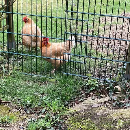 Maison Avec Jardin Au Calme A 10 Min De Strasbourg * فيندينهيم