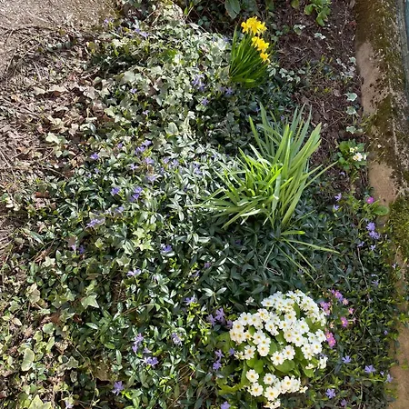 Maison Avec Jardin Au Calme A 10 Min De Strasbourg بيت للعطل *