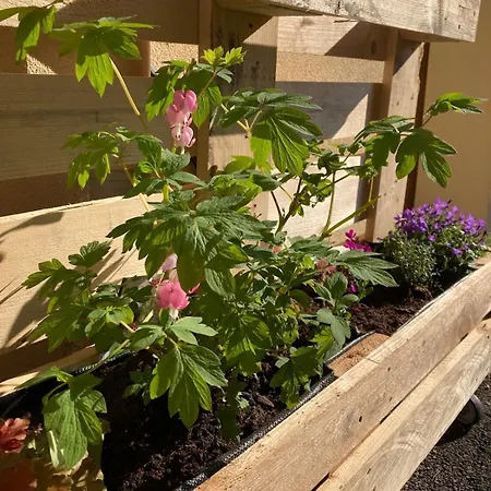 بيت للعطل Maison Avec Jardin Au Calme A 10 Min De Strasbourg *