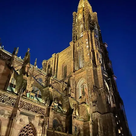 Maison Avec Jardin Au Calme A 10 Min De Strasbourg بيت للعطل فيندينهيم